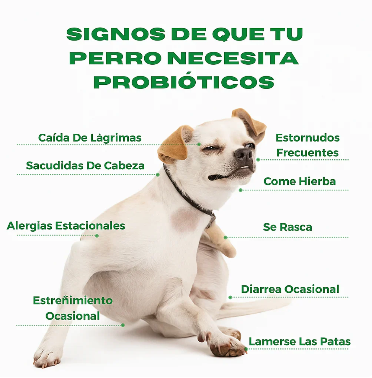 BIOCAN - Probiótico para Perros 🐶 + EBOOK DE REGALO