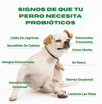 BIOCAN - Probiótico para Perros 🐶 + EBOOK DE REGALO