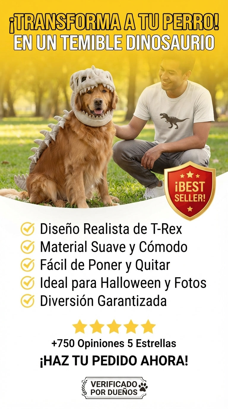 Disfraz de dinosaurio para perro